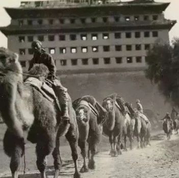 古代中国为何要拼命拿下西域？西域有那么重要吗？