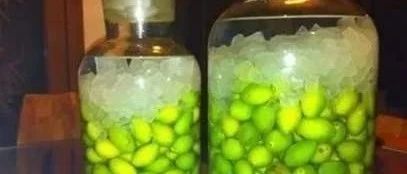 水果泡酒——橄榄泡酒中毒了怎么办，还有酒能解毒？