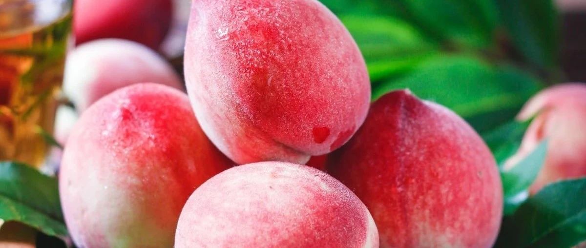 水果泡酒——桃子泡酒历经千年的桃树，你知道它的故事与养生功效吗？